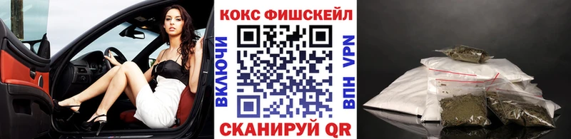 Купить закладки  Кинешма  Кокаин 98% 