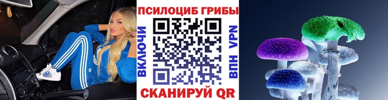 Галлюциногенные грибы мицелий  Купить  Кинешма 